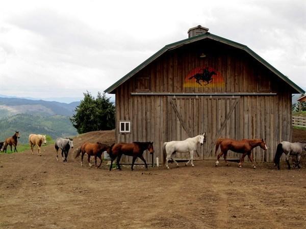 Bull Hill Guest Ranch Hotel Marble Exterior foto